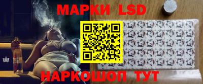 сатива Малгобек