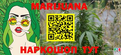сатива Малгобек